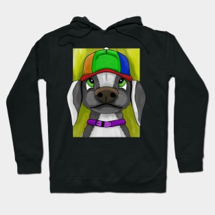 lgbt dog Hoodie